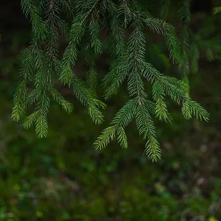 Talblick Im Naturpark Altmuehltal *