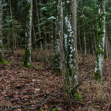 Talblick Im Naturpark Altmuehltal